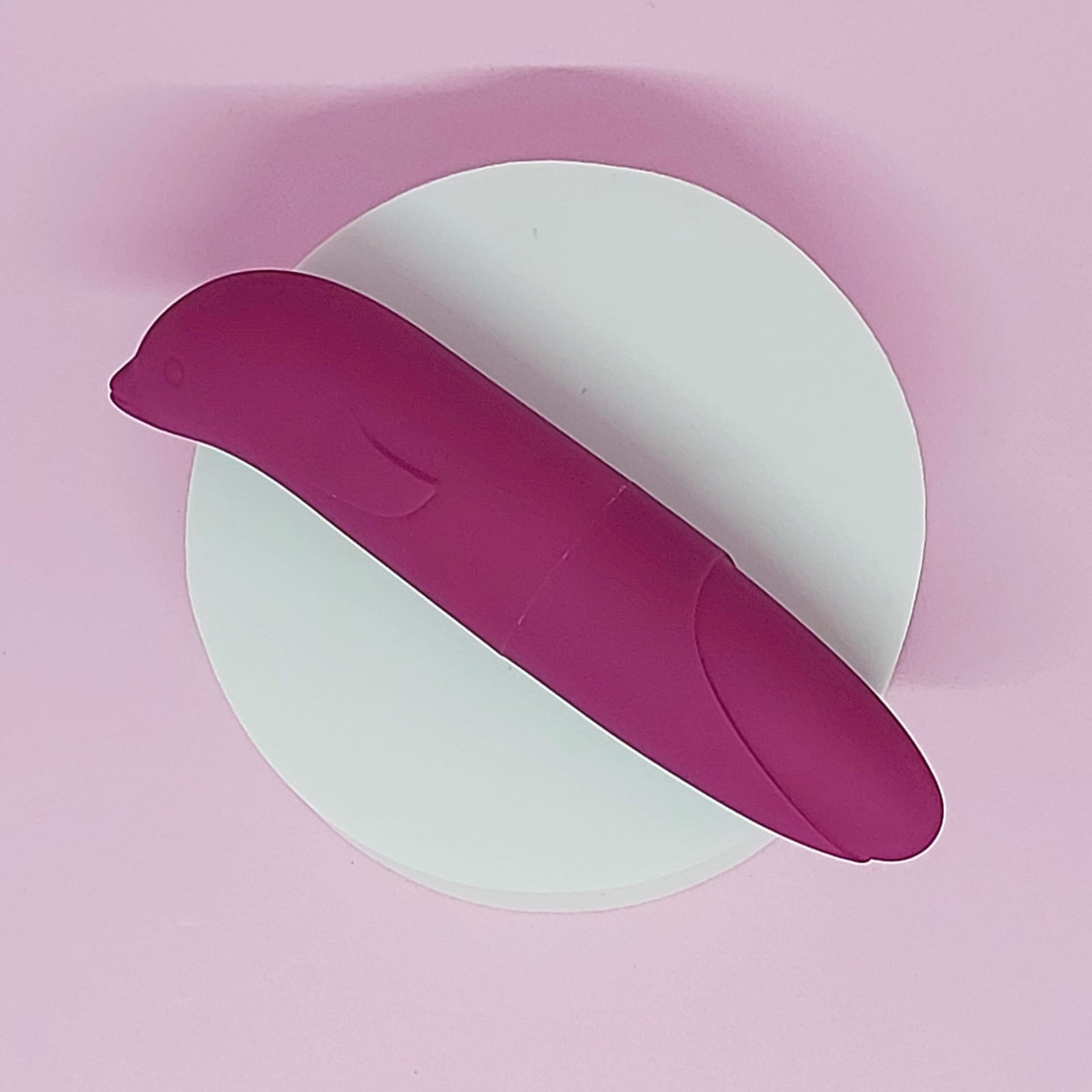 golfinho-vinho5-bora-ser-feliz